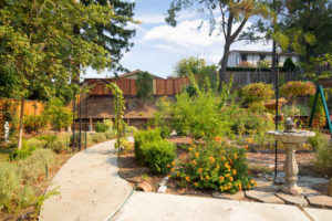 5615 Frank Pl Clayton CA 94517-small-025-26-Backyard II-666x444-72dpi