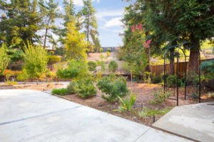 5615 Frank Pl Clayton CA 94517-small-026-24-Backyard III-666x444-72dpi